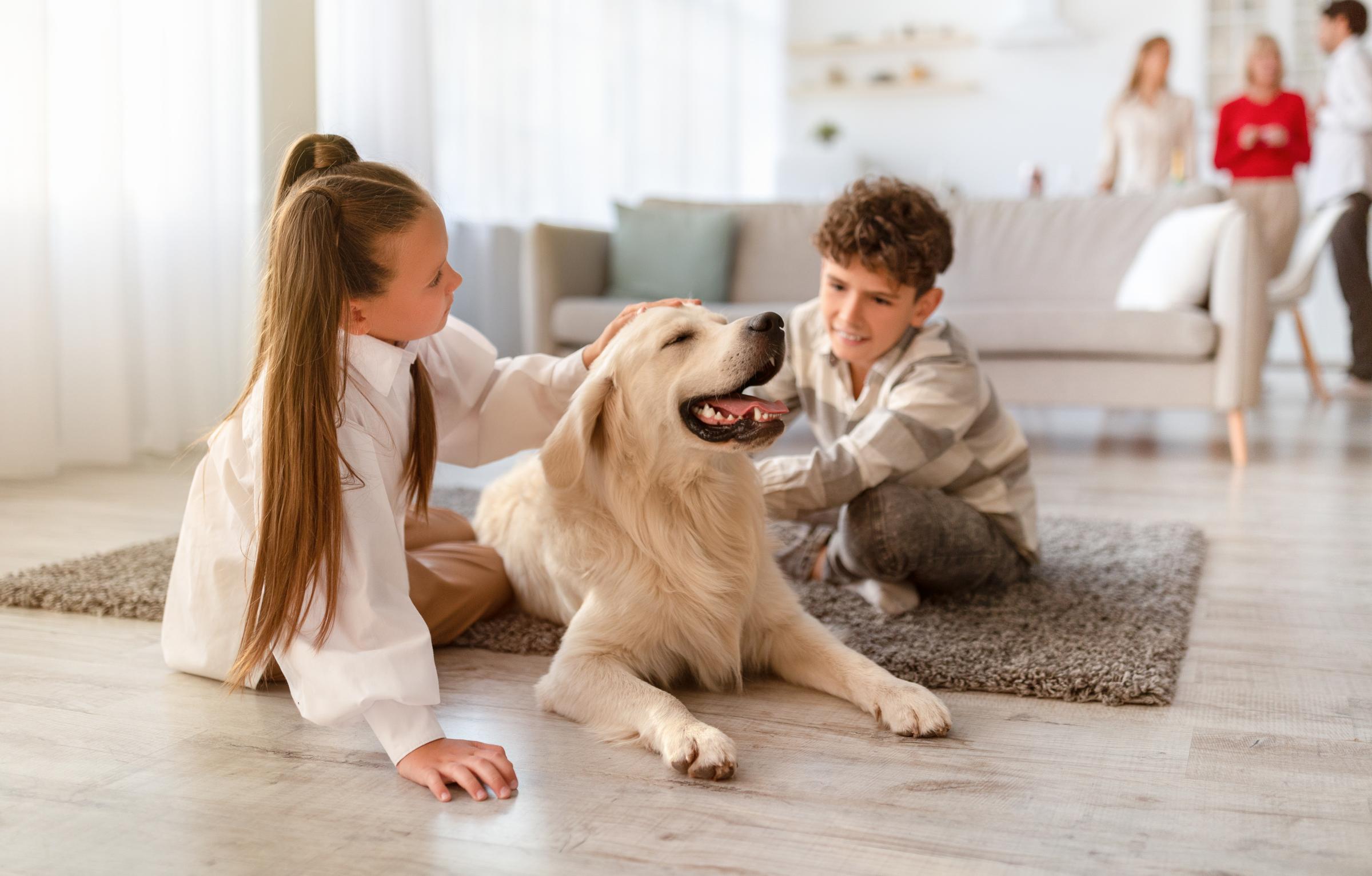 kids with dog on living room floor hassler