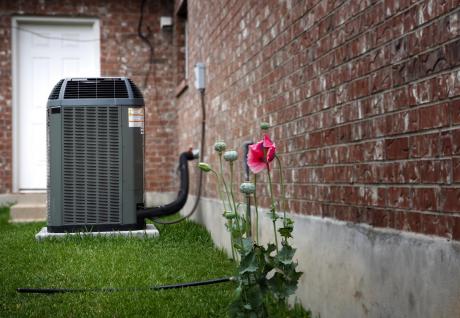 Electric Heat Pump outside next to a flower